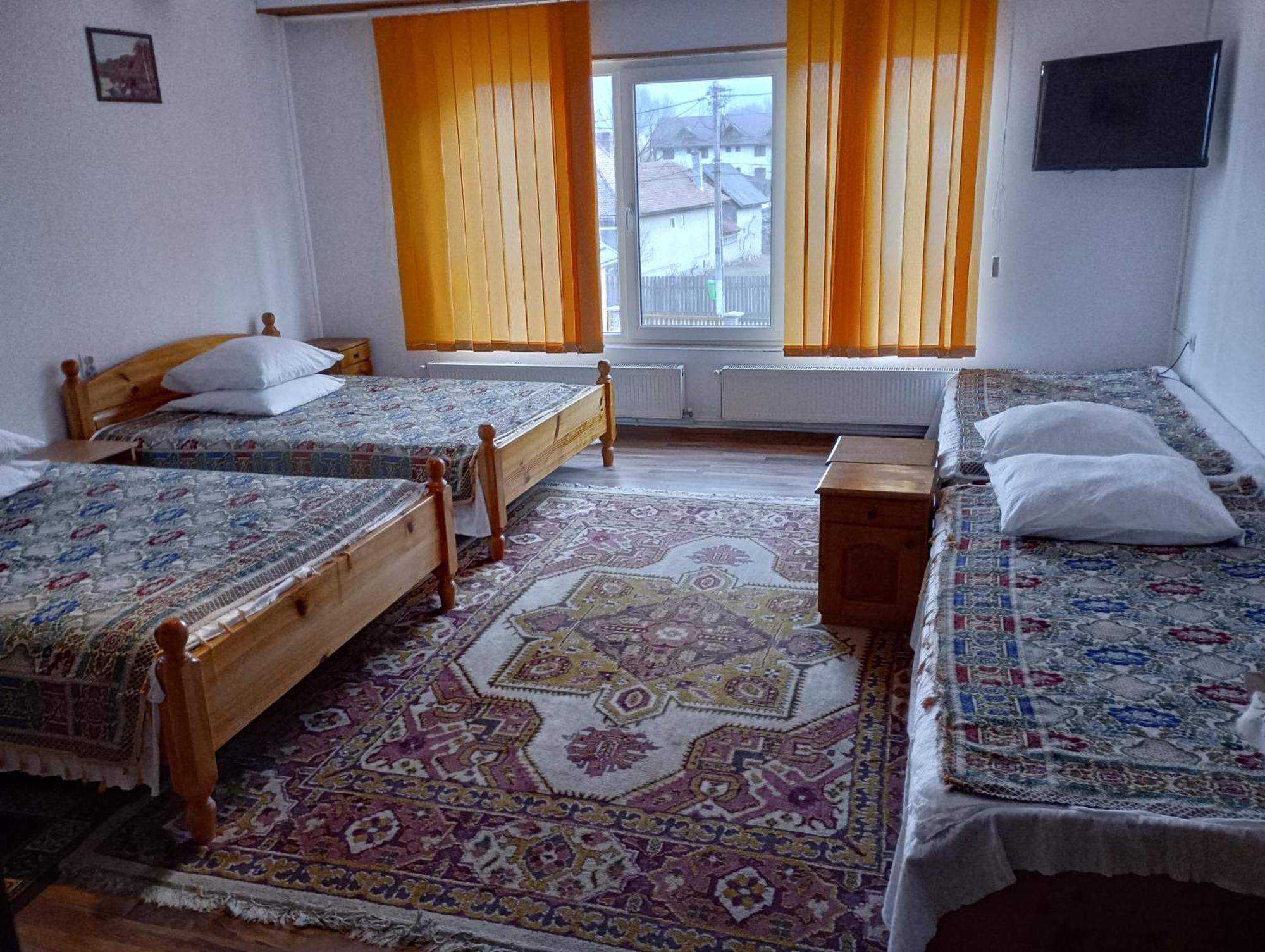 Pensiunea Irina 1 Si 2 Zărneşti Bagian luar foto