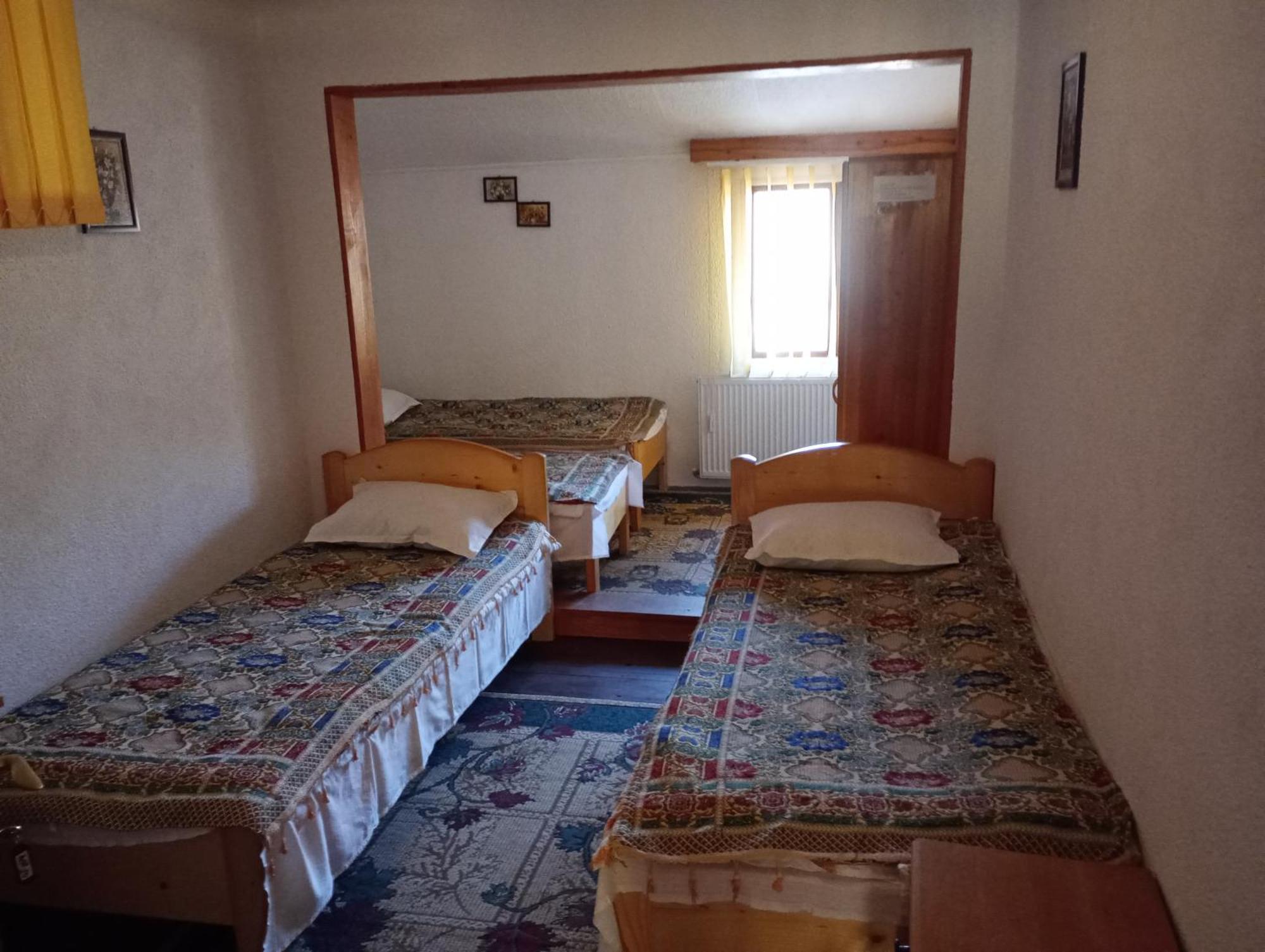 Pensiunea Irina 1 Si 2 Zărneşti Bagian luar foto